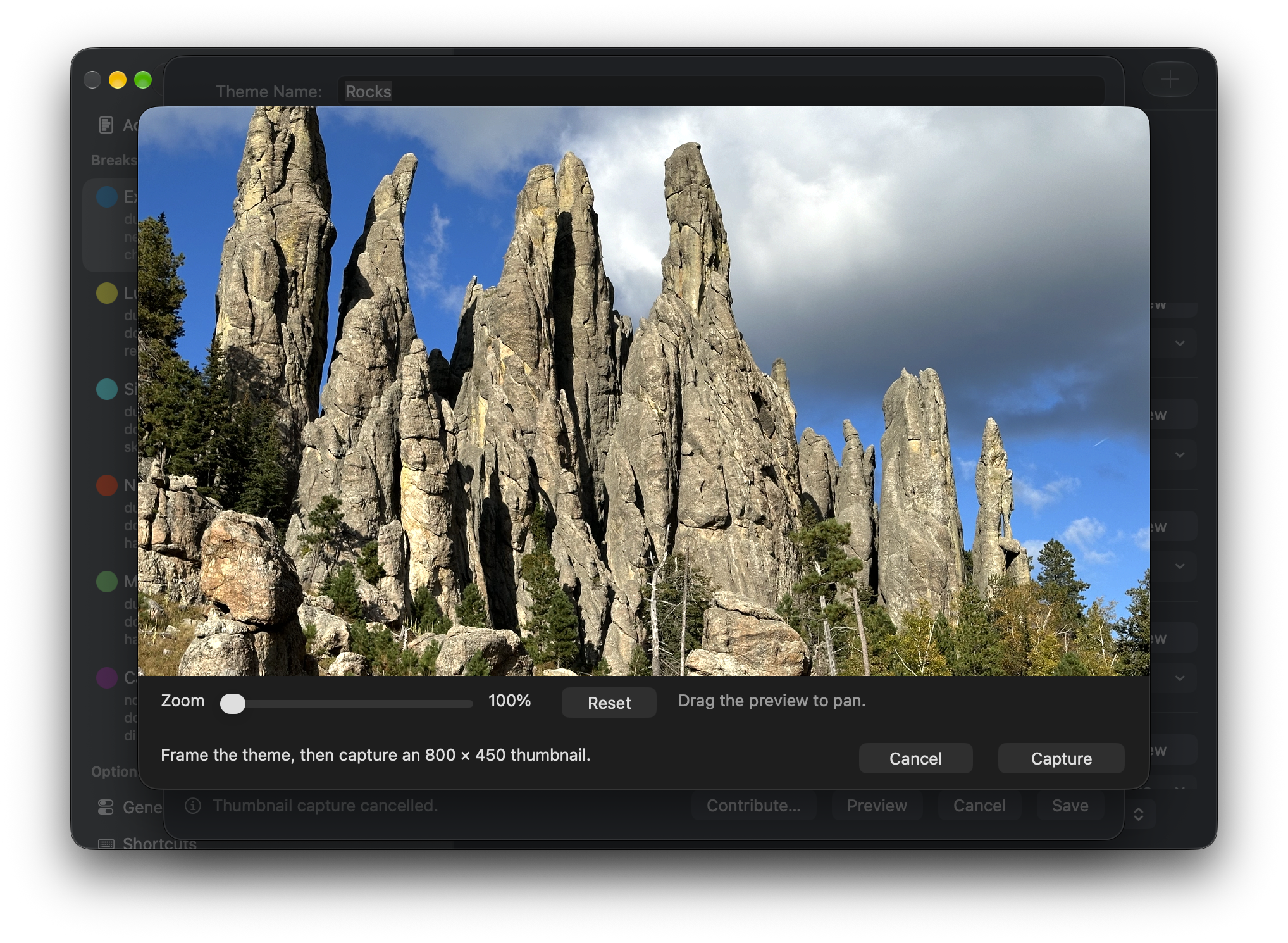 Capture thumbnail