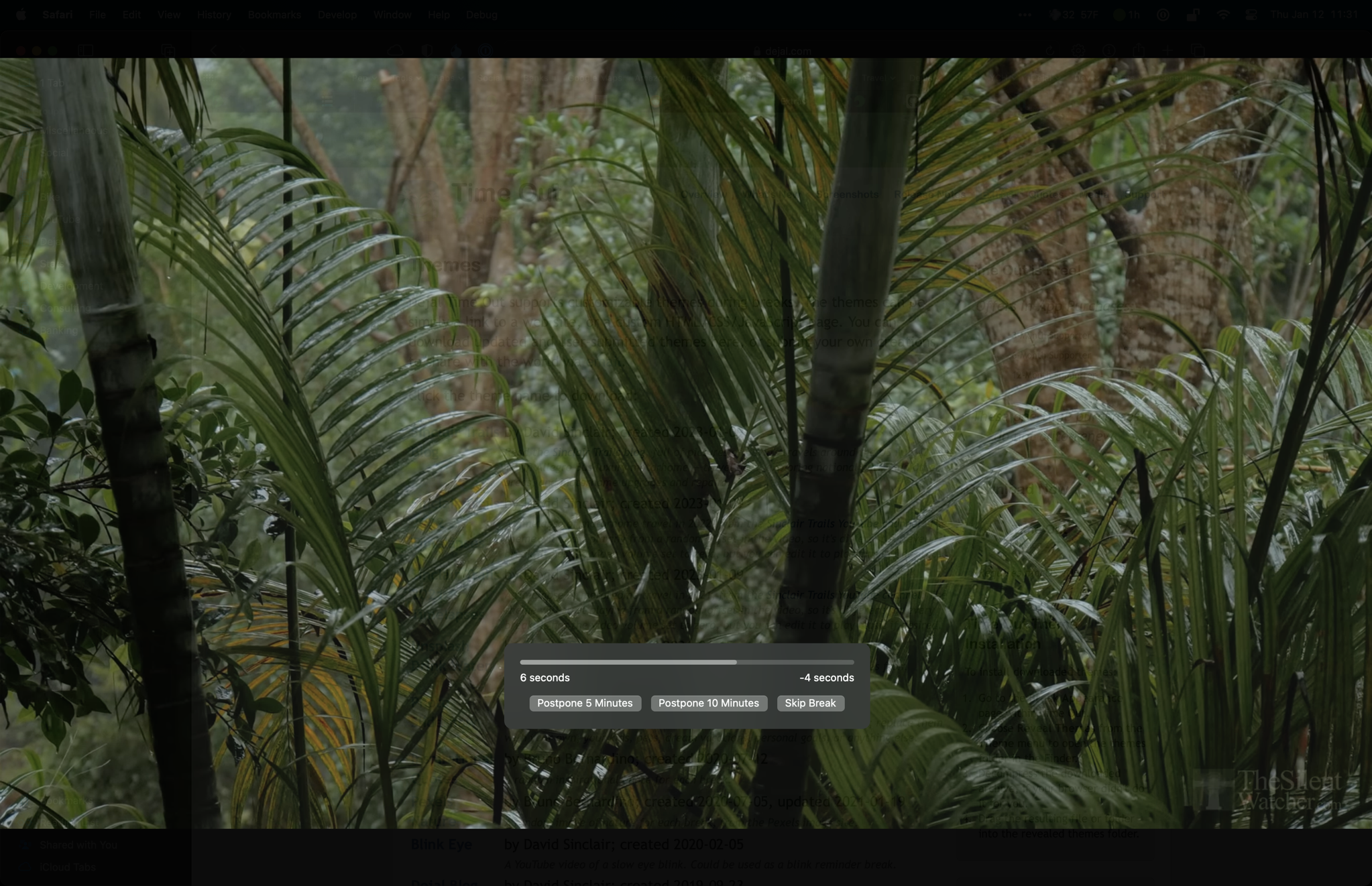 Tropical rain theme