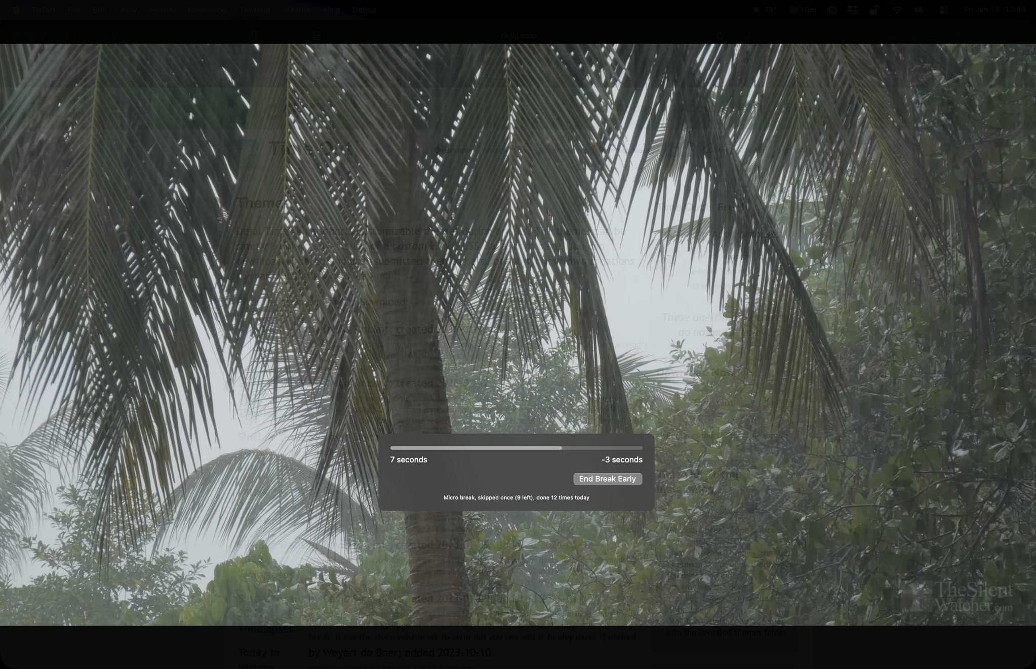 Tropical Rain theme