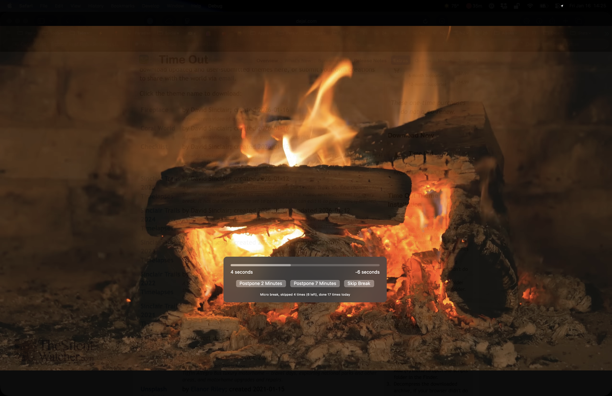 Fireplace theme