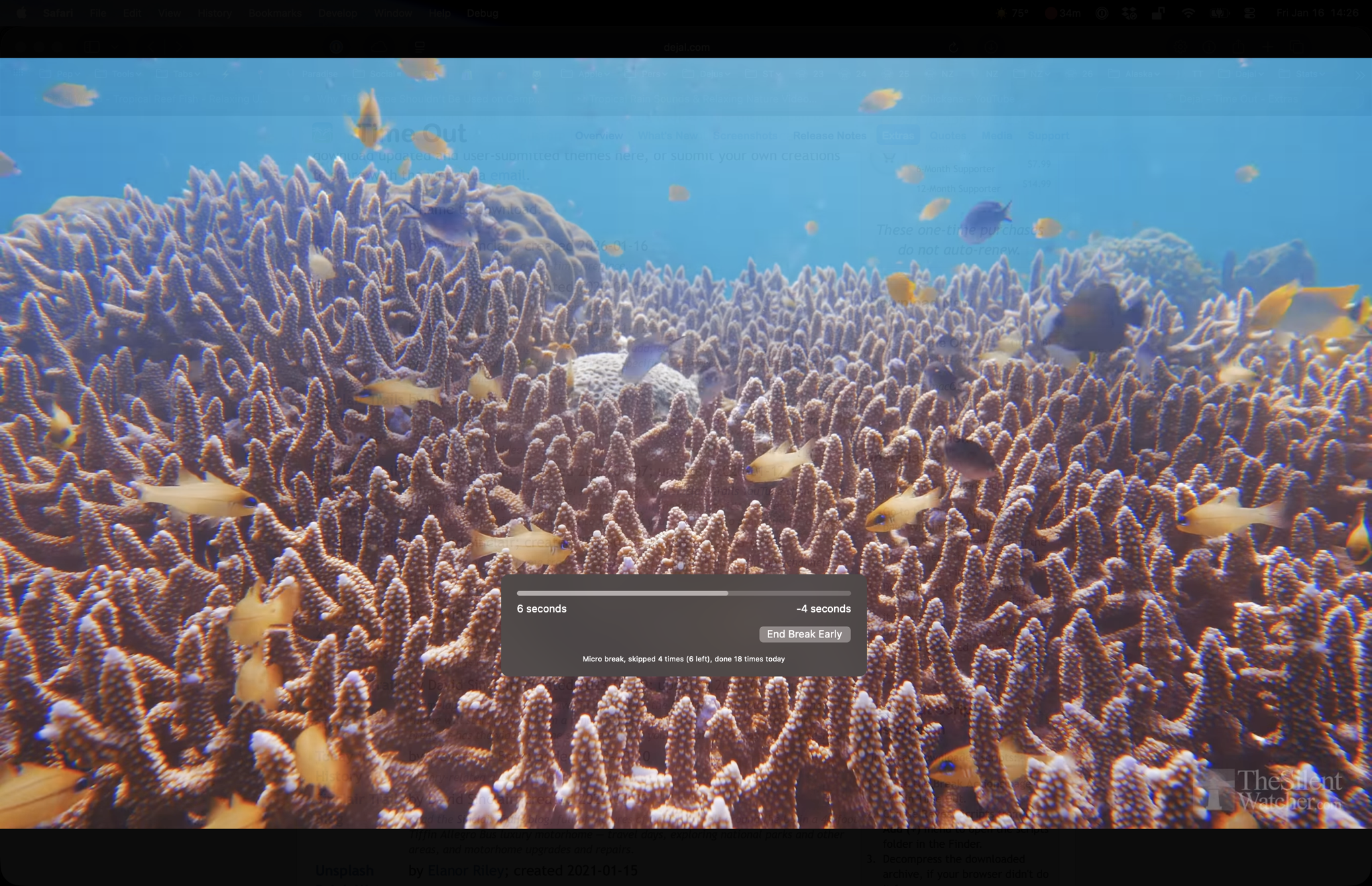 Coral World theme