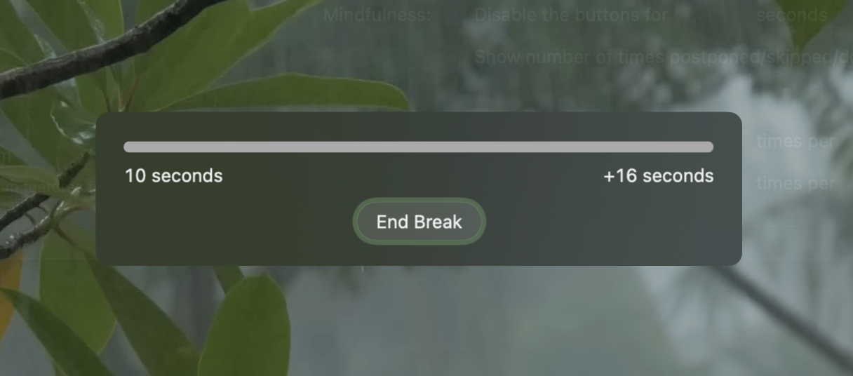 End Break button